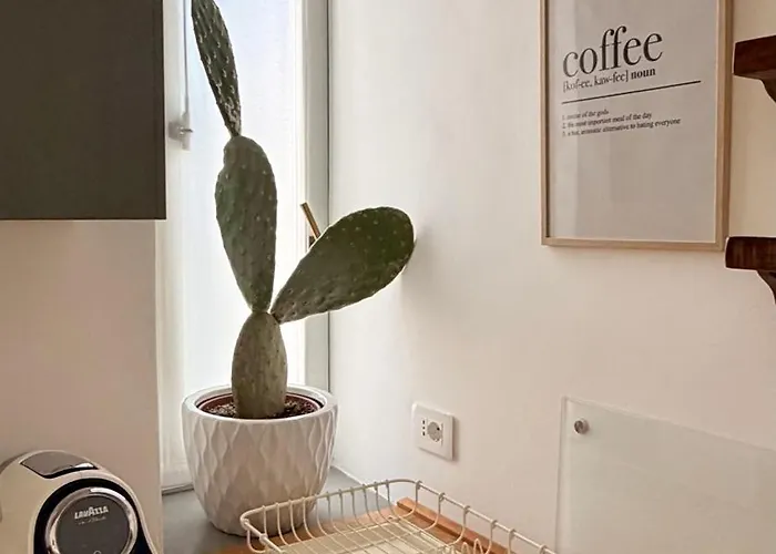 Lavidavio アパート *